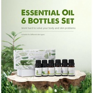 Ode Flore Set of 6 Essential oil (Lavender,Eucalyptus,Sweet orange,Lemongrass,Peppermint,Tea tree) Organic Aromatherapy