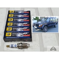 Spark Plug Iridium Jeep Cherokee XJ Set Of 4/6 Heads: Hella IM8RC5-11P