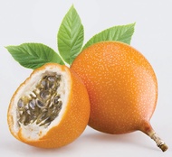 【GW】15pcs Seeds Ecuador Orange Passion Fruit Rare Import Biji Benih Manis Ekuador 南美洲百香果