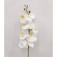 (0_0) Anggrek Bulan Latex / Anggrek Artificial Putih / Bunga Anggrek