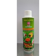 Anti Chlorine - Lucky Star Brand Anti Chlorine 250ml