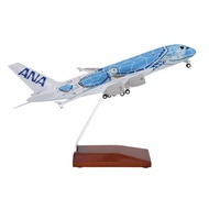 ANA Airbus A380 “Sea Turtle” Aircraft Model, 1/200