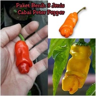 COD PLUS - Benih cabe hias mix 3 jenis yellow peterorange peterred peter pepper produk terlaris