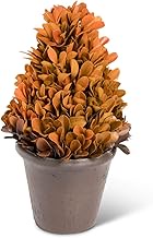 K&K Interiors 41603C-2 8.75 Inch Orange Preserved Boxwood Cone on Pot