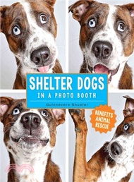 Shelter Dogs in a Photo Booth