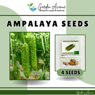 SULIT PACK! (4PCS) AMPALAYA LONG GREEN SEEDS/HIGH YIELD
