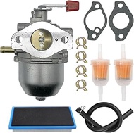 Carbpro 0C1535ASRV Carburetor Kit for Generac 4000XL 4000EXL Nikki GN220 GH220HS Sears Troy Built Po