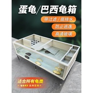 Transparent Turtle Tank Glass for Egg Turtles PP Plastic Turtle Pond Narrow Bridge Tank Albino Brazi