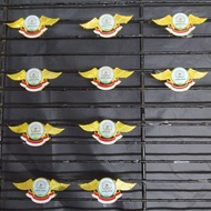 Old Wing Pin Brass Logo Pin Custom Logo Resin Pin