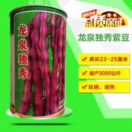 紫色蕓豆種籽紫架豆種子 種籽豆角菜種子 種籽四季豆春秋季陽庭院蔬菜種子 種籽fpny