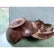 10pcs coconut shell plates, pickled saucers, chili sauce plates, coconut shell plates