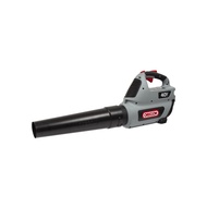 Oregon Leaf Blower 40V - Power Blower