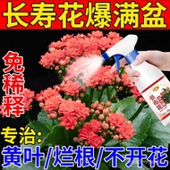 JD🥦CM 【Burst into Bloom】Jonquil Fertilizer, Special Organic Fertilizer for Flowering, Flower Cultivation and Flower Prom