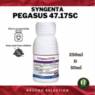 🐛PEGASUS 47.17 SC | RACUN SERANGGA | Syngenta | Diafenthiuron 47.17% Racun Lalat Putih Ulat Kutu Thr