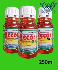 RECOR 300EC 250 ML Fungisida Sistemik Difenokonazol CAP KAPAL TERBANG