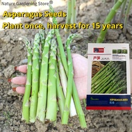 เมล็ดพันธุ์ หน่อไม้ฝรั่ง บรรจุ 10เมล็ด Green Asparagus Seed Organic Vegetable Seeds for Planting เมล็ดหน่อไม้ฝรั่ง ผักออร์แกนิก เมล็ดพันธุ์ผัก บอนไซ พันธุ์ผัก เมล็ดผัก แอสพารากัส ต้นไม้มงคล เมล็ดพันธุ์พืช ผักสวนครัว ของแท้100% ง่ายต่อการเติบโต เมล็ดงอกสูง