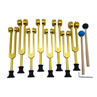 Tuning Forks Set for HealingSound Therapy(126.22 Hz136.1 Hz141.27 Hz172.06 Hz194.18 Hz210.42 Hz221.2