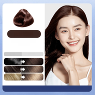 Natural Plant-based Hair Dyes Are Suitable For Dry Damaged Curly Fine Hair Plant Hair Dyes Essence H