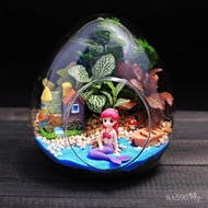 Micro Landscape Office diy Indoor Set Material Big Creative Desktop Egg-Shaped Potted Plant Moss Gre
