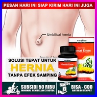 Obat Hernia Pria Dewasa Hernia Untuk Anak Laki Laki Hernia Turun Berok Herbal Hernia Alami Hernia In