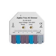 [FAST ERA]-ZigBee3.0 Wireless on OFF Relay Switch Smart Relay Switch AC DC Power APP Voice Control P