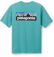 荻瑪士【Patagonia 】P-6 Logo Responsibili系列 男款經典有機棉圓領短T 