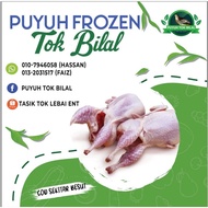 Puyuh Frozen Tok Bilal