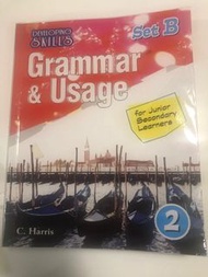 Developing Skills Grammar & Usage Set B