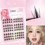 (Tặng Keo nhíp ) Lông Mi Tách Sợi Tự Nối Kiểu Dáng Hoa Hướng Dương Tự Nhiên 8 Hàng 10-12mm