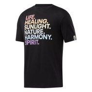 Reebok Pride T-Shirt 彩虹 變色 短T 短袖上衣 黑 GL4491