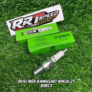 Kawasaki Ninja 2 Stroke NGK Spark Plug Code B9ECS