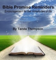 Bible Promise Reminders Tanda Thompson