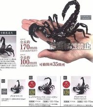 蠍子扭蛋生物大圖鑑關節可動