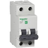 SCHNEIDER Easy9(6Ka) 2Pole MCB 6kA SIRIM APPROVED Miniature Circuit Breaker