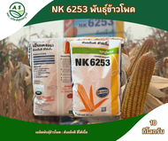 ข้าวโพดเลี้ยงสัตว์ เมล็ดพันธุ์ข้าวโพด NK6253 ยืนต้นดี สีได้เนื้อ เบอร์ 3 ทนแล้ง สินค้าออกใหม่ หมดอาย