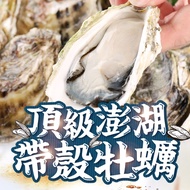 頂級澎湖帶殼牡蠣5包