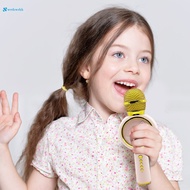 Kids Karaoke Microphone Machine Portable Wireless Karaoke Machine Gift for Children Home KTV WRHH-MY