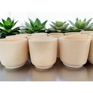 กระถางดินเผา กระถางต้นไม้ ทรงกระบอก 6 นิ้ว สีครีม พร้อมจานรอง