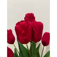 Fc7 Red Velvet Tulip Bouquet 1 Has 10 Flowers [Height 43 Cm.]