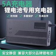 Sanyuan Lithium Battery Lithium Iron Phosphate Charger 48v Volt 5A Ann 60v5a72v54.6 V87.6V Lithium B