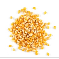 Popcorn/Jagung Kering (Repack 250gr)
