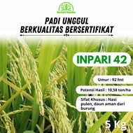 Benih Padi Inpari 42 Agritan GSR 5kg Benih Padi Unggul Bibit Padi Unggul