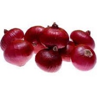 BAWANG MERAH / RED ONION INDIA 1 KG