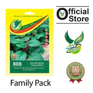 GE 808 Red Ceylon Spinach seeds [5g]