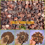 Medi Tanam Kulit Pinus/ Pine Bark