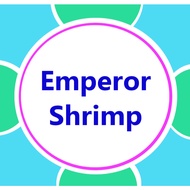 A..D..M.. - EMPEROR SHRIMP IN GAME TYPE E1 EDITION (PC GAME)