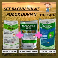 [1 Set ] Aliette 250g + Antracol 70WG 1kg + Monceren 500g set Fungicide / Racun kulat untuk Pokok Du
