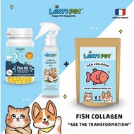 Premium Fish Collagen+VCO +Fish OilVitamin Dog & Cat Leryspe