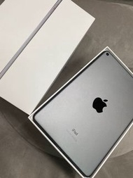 iPad mini5 256g