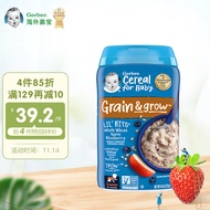 嘉宝Gerber  婴儿米粉 高铁苹果蓝莓燕麦米粉 三段(8个月以上） 227g/罐 美国原装进口